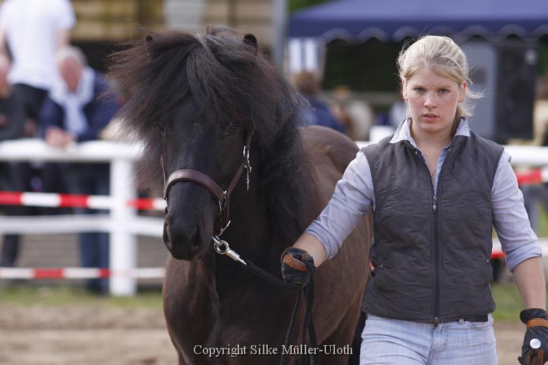 Noah von Heidmoor (2).JPG